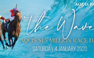 Stay at Boulevard Towers Broadbeach for Magic Millions Carnival 2020