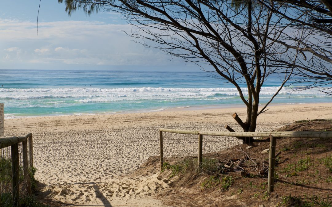 Gold Coast’s Nobby Beach is Worth a Visit
