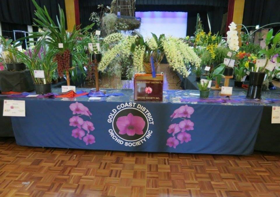 Gold Coast District Orchid Society Inc