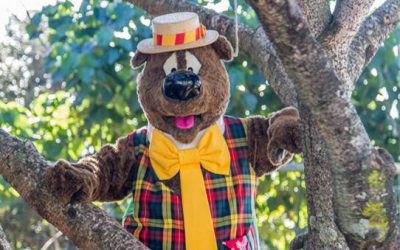 Not to Be Missed… BLEACH Festival and Gold Coast Show 2021