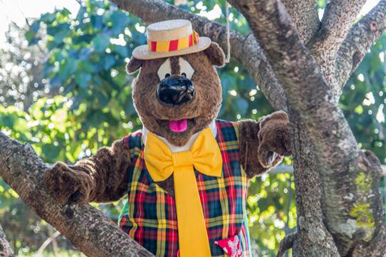 Humphrey B Bears Hosts Teddy Bear Picnic Photo From Gold Coast Show Website