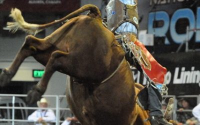 Rodeo Finals in Broadbeach