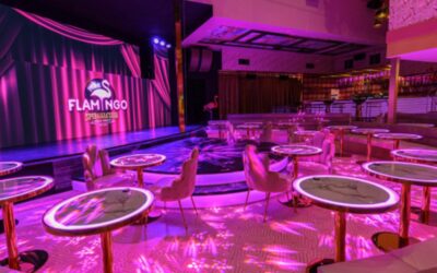 Pink Flamingo Gold Coast