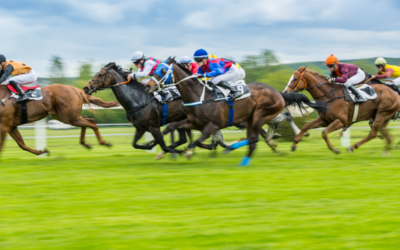 Celebrate the Melbourne Cup at The Star Gold Coast