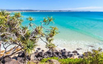 Experience the Best of Summer on the Gold Coast: Your Guide to Fun and Sun