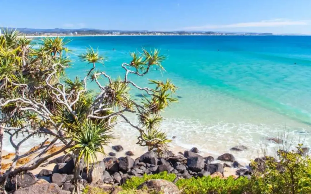 Experience the Best of Summer on the Gold Coast: Your Guide to Fun and Sun