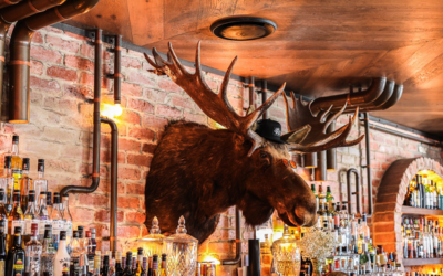 Uncover the Best Bars in Broadbeach for 2025
