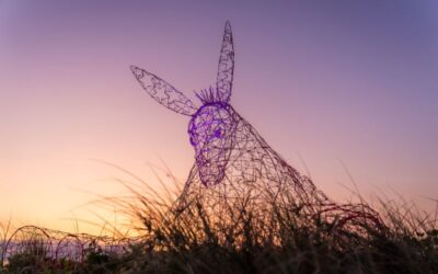 Don’t Miss These 2025 Gold Coast Events!