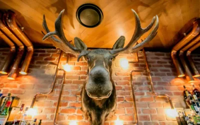 Looking for the Best Restaurants in Gold Coast Broadbeach?