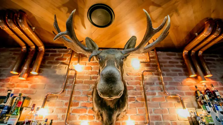 Looking for the Best Restaurants in Gold Coast Broadbeach?