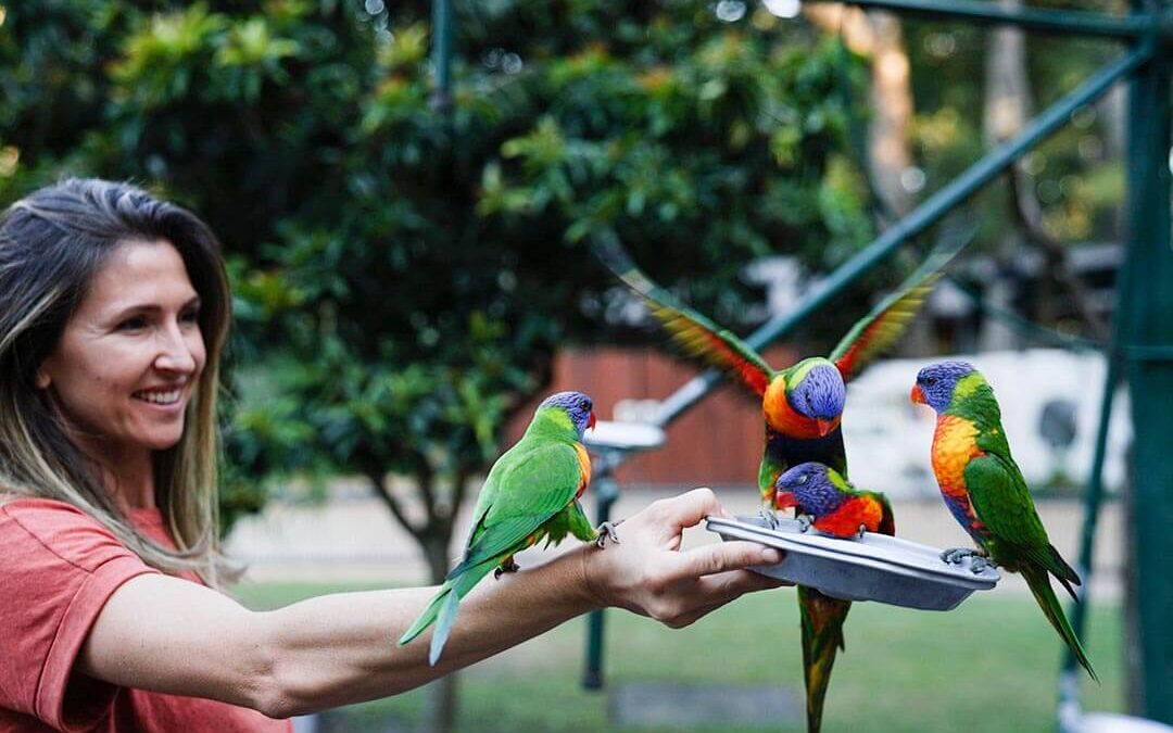 Plan Your Visit to the Top Wildlife Park Gold Coast