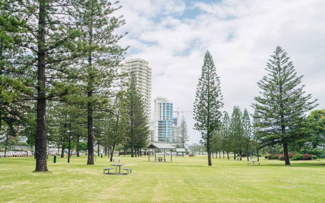 Kurrawa Park foreshore parkland with Norfolk pines a short walk from Boulevard Towers Broadbeach
