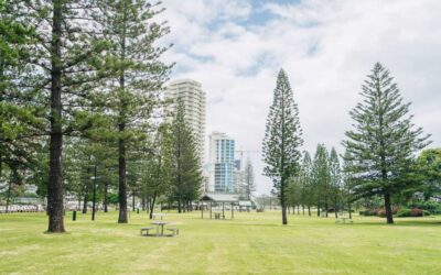 The five-minute radius: what’s walkable from Boulevard Towers